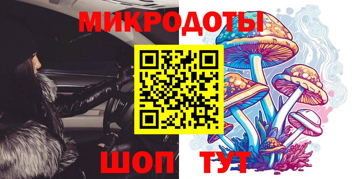 Борзя  Псилоцибиновые грибы Psilocybine cubensis  Вход с VPN  Псилоцибиновые грибы прущие грибы 